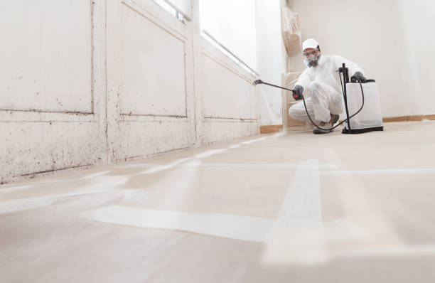 24/7 Emergency Crawl Space Mold Remediation experts in Rich Square, NC